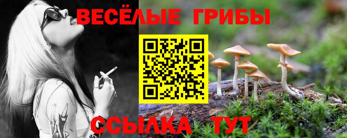 Галлюциногенные грибы Cubensis Гусь-Хрустальный