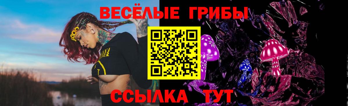 Галлюциногенные грибы MAGIC MUSHROOMS  Вход с VPN  Гусь-Хрустальный  Галлюциногенные грибы GOLDEN TEACHER 